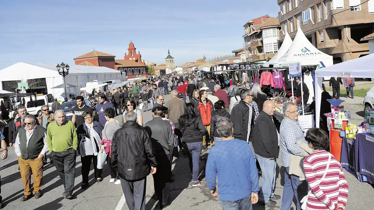 Feria de San Martín en Mansilla de las Mulas 2024