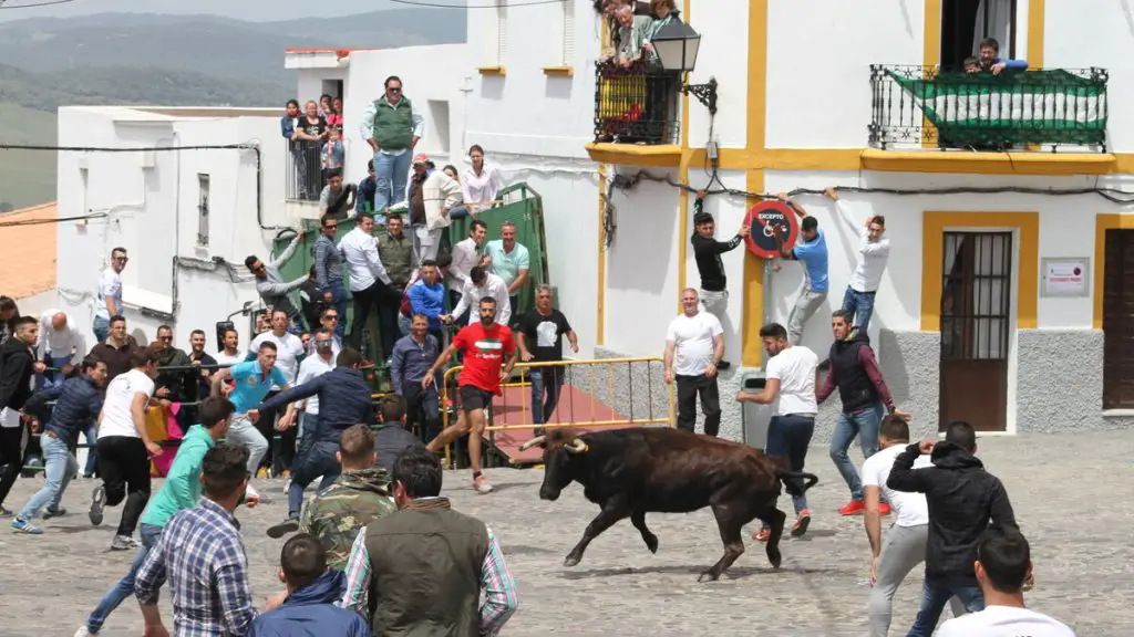 Fiesta de San Jorge en Alcalá 2024
